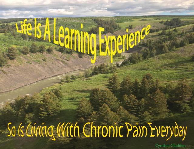 19466382_1584571774908444_7579347921304294313_o